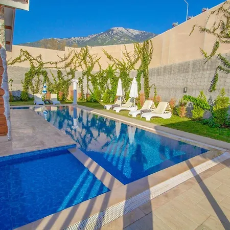 Patara Infinity 3+1 Villa, Oezel Havuzlu, וילה פאטהיה
