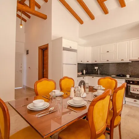 Patara Infinity 3+1 Villa, Oezel Havuzlu, וילה פאטהיה