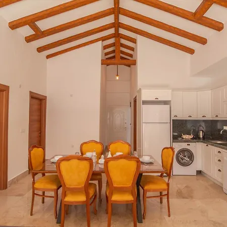 Patara Infinity 3+1 Villa, Oezel Havuzlu, וילה *